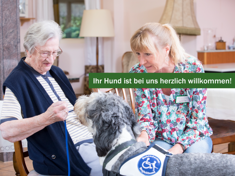 Reha mit Hund - Rehaklinik Bayern